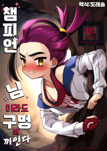 (Challenger! 29) [PORYGON137 (Hidari Pory5n)] 챔피언 님이라도 구멍에 끼인다 Champion-sama Demo Ana ni Hamaru (Pokémon Scarlet and Violet) cover