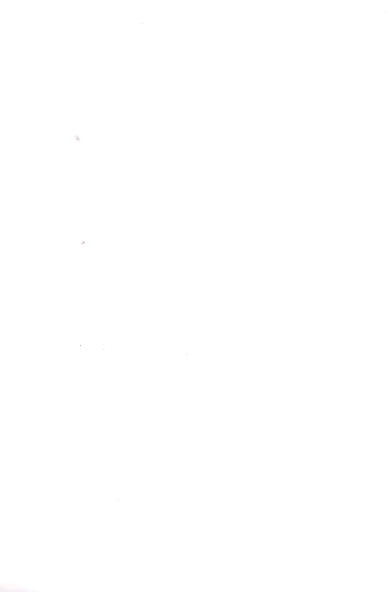 Gyakushū fakkusu ni go yōjin page 2 full