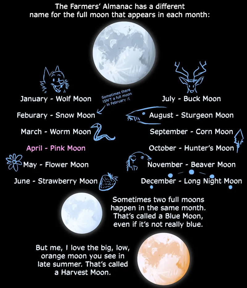 Ask the Werewolves Q&A Blog page 8 full