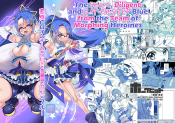 Kouji - The Smart, Diligent and Flat-Chested Blue from the Team of Morphing Heroines cover