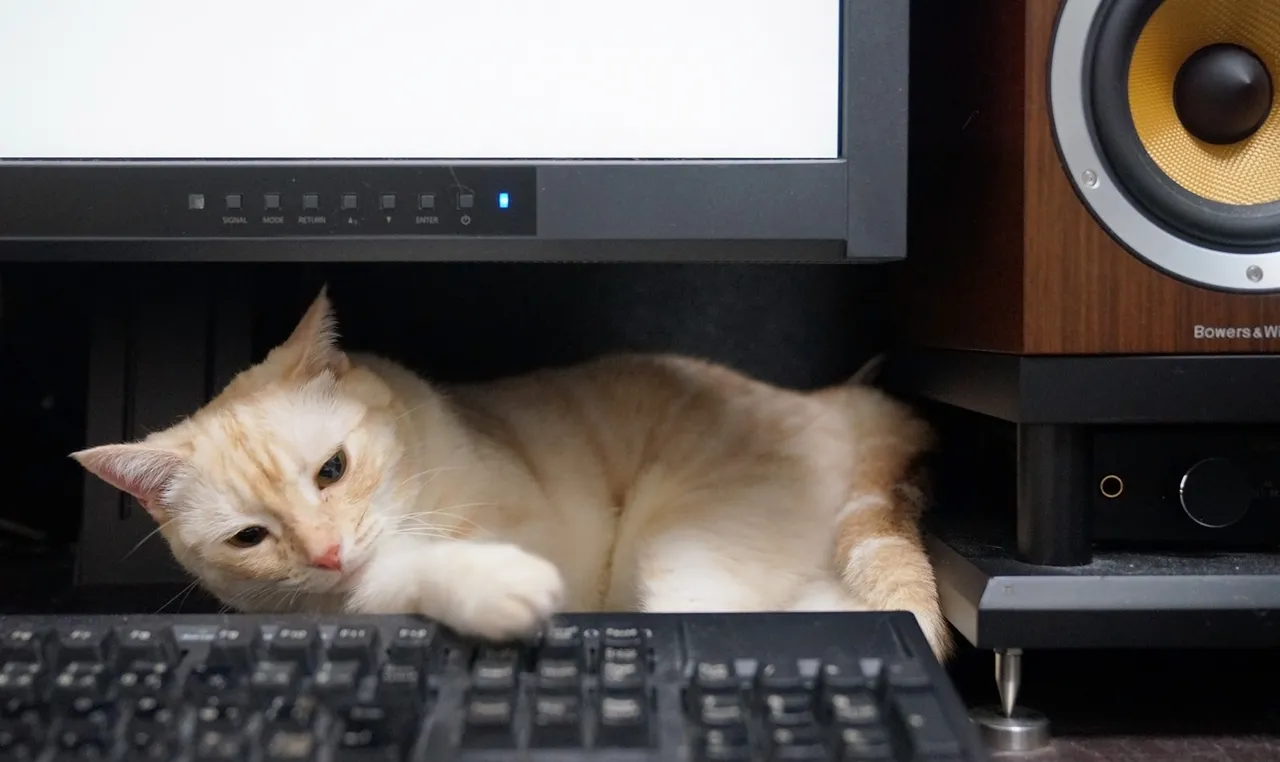 カントク2018.05-2026.03 page 12 full