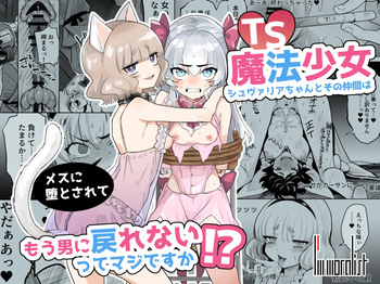 [I'm moralist (Kanimura Ebio)] TS Mahou Shoujo Chevalier-chan To Sono Nakama Wa Mesu Ni Daraku To Sa re Te Mo Otoko Ni Modore Nai Tsu Te Maji Desu Ka!? cover