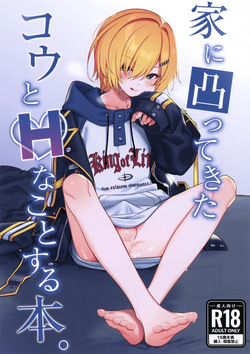 Ie ni Totte Kita Kou to Ecchi na Koto Suru Hon.