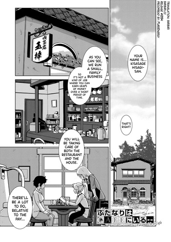 [Kamotama] Futanari Musume wa Yarizakari Ch.1-3 [English] [biribiri] [Digital] cover