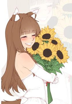 spice and wolf <span class='split_tag'> |  Ookami To Koushinryou</span>