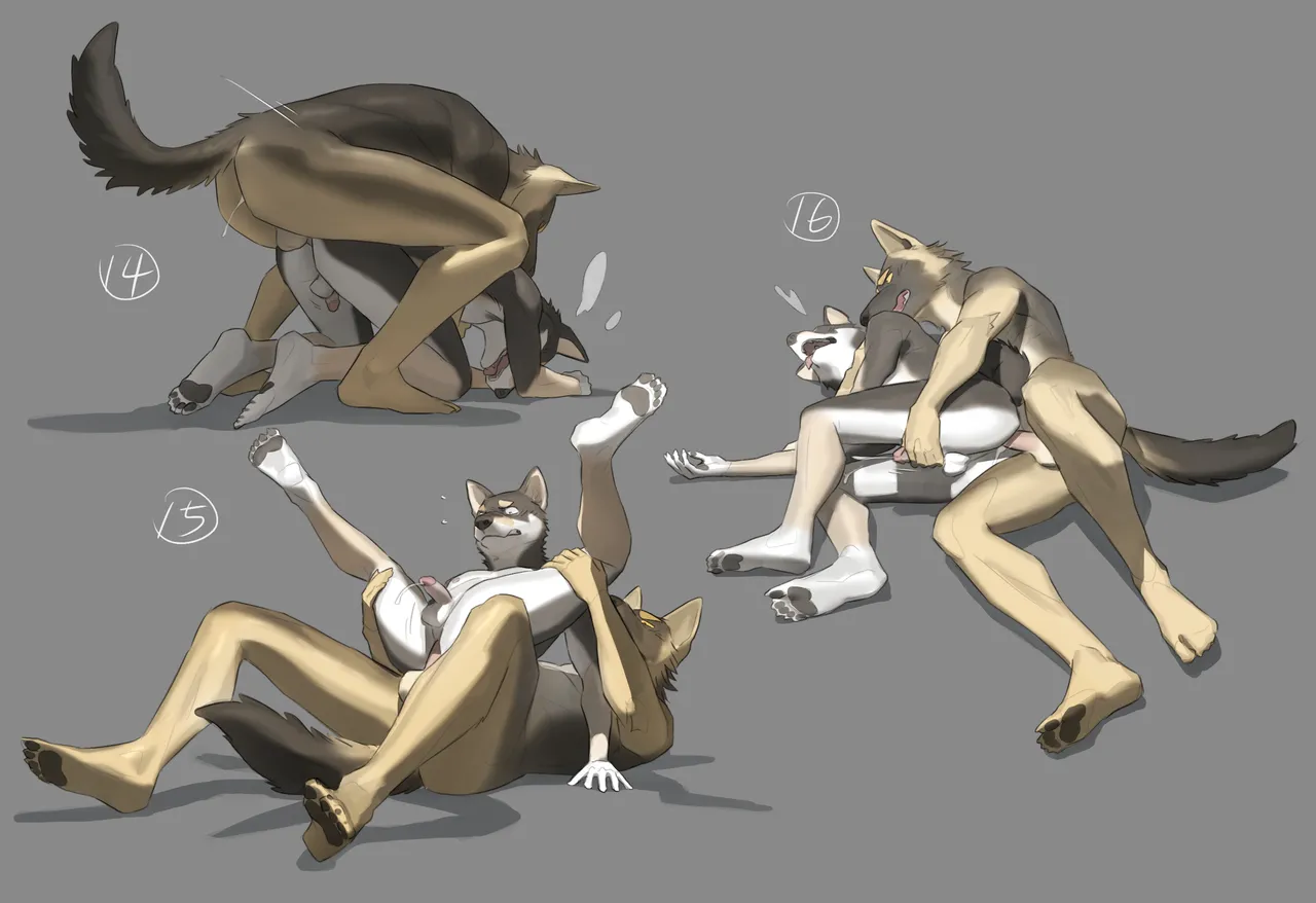 Shiba & Shepherd page 5 full