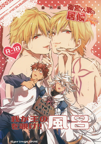 (Dai 11-ji ROOT4to5) [SpringLOVE (Madara)] Emiya-san-ka no Isoro Nenmatsu SP Bangaihen Waga O no Furo wo nozoke!! (Fate/Grand Order) cover