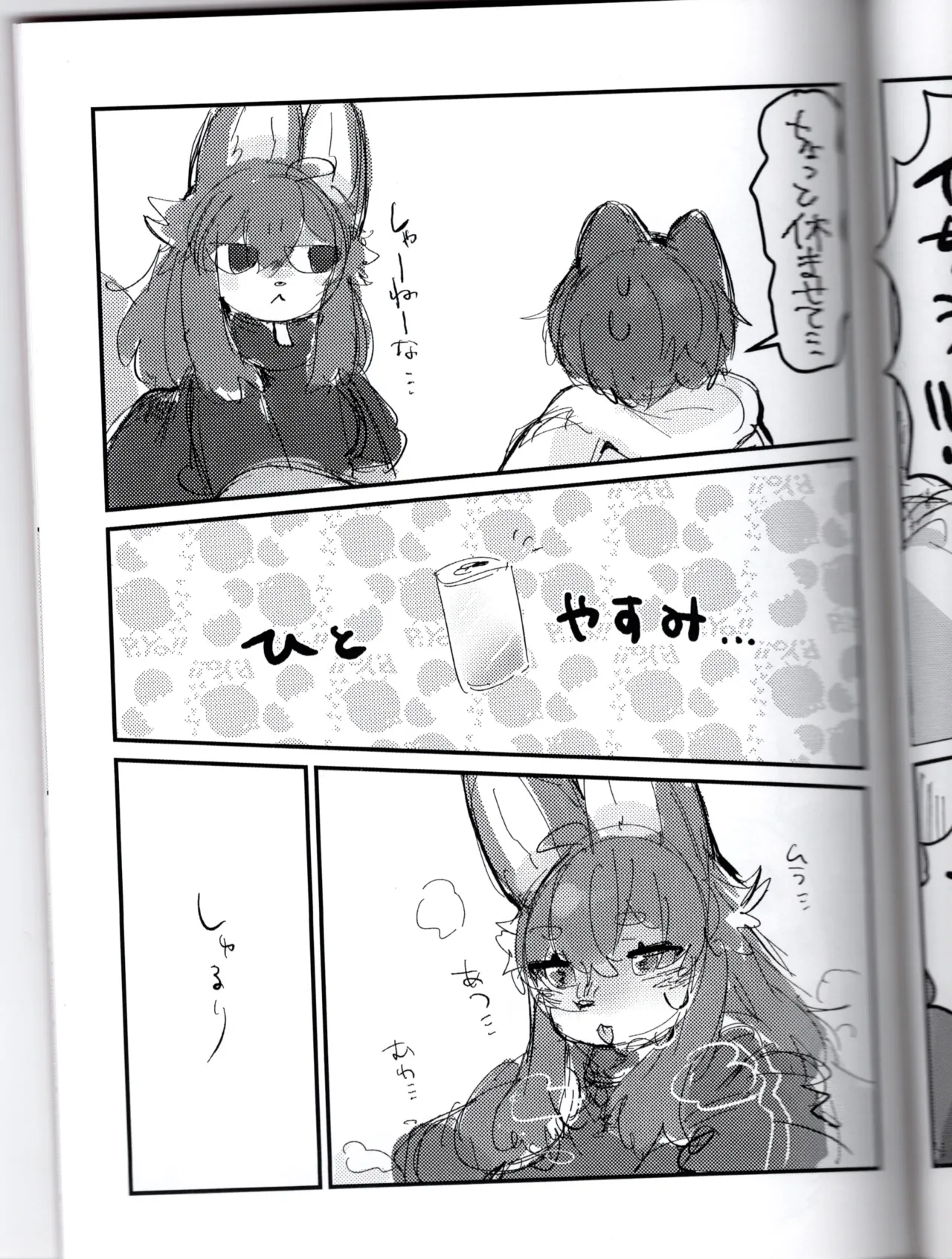 Fox Sister's Erotic Book page 11 full