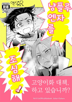 Nyan-fluenza ni Ki o Tsukete! | 냥플루엔자를 조심해!