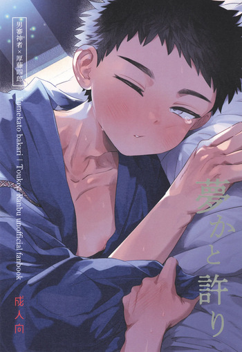 [Ebiharami (Yoruge)] Yume ka to motori (Touken Ranbu) [English] cover