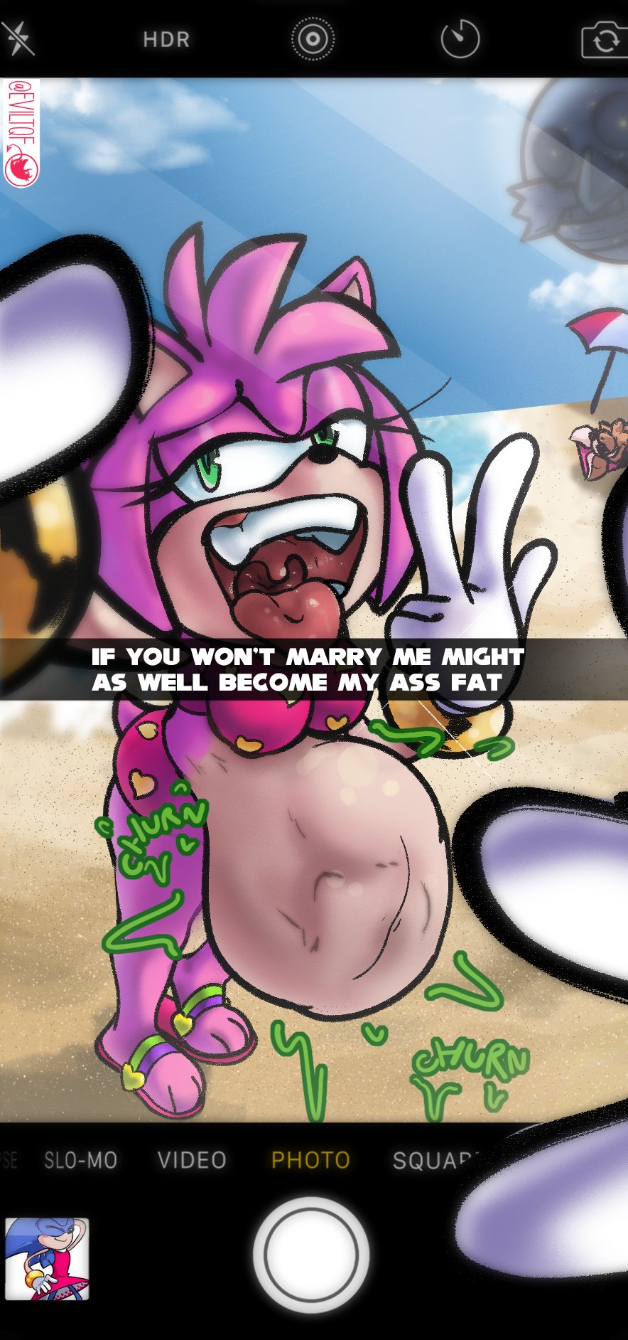 Amy Rose Beach Snack page 1 full