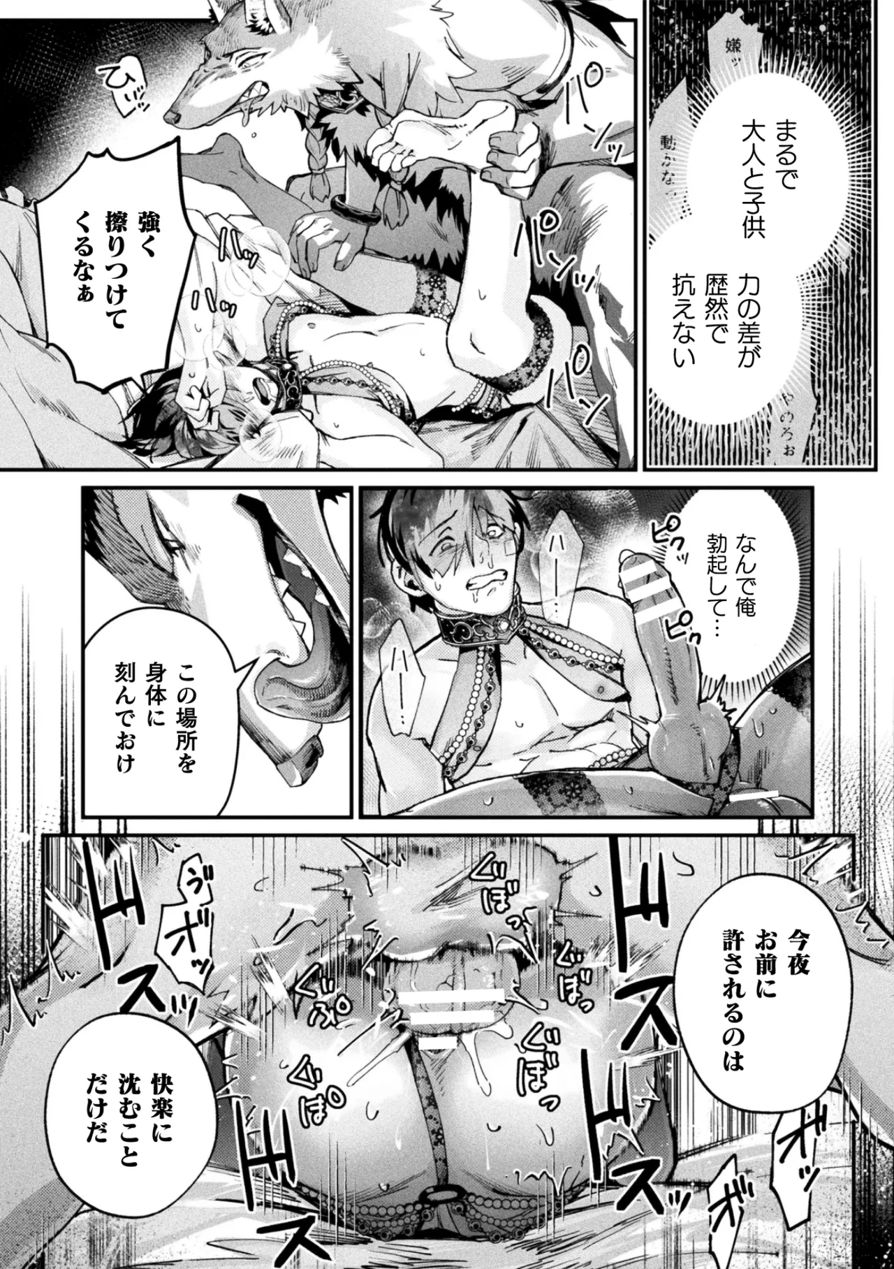 獣王様のご寵愛 page 11 full