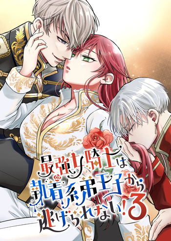 [モゲモゲランド (モゲモゲ)] 最強女騎士は執着系弟王子から逃げられない!3 cover