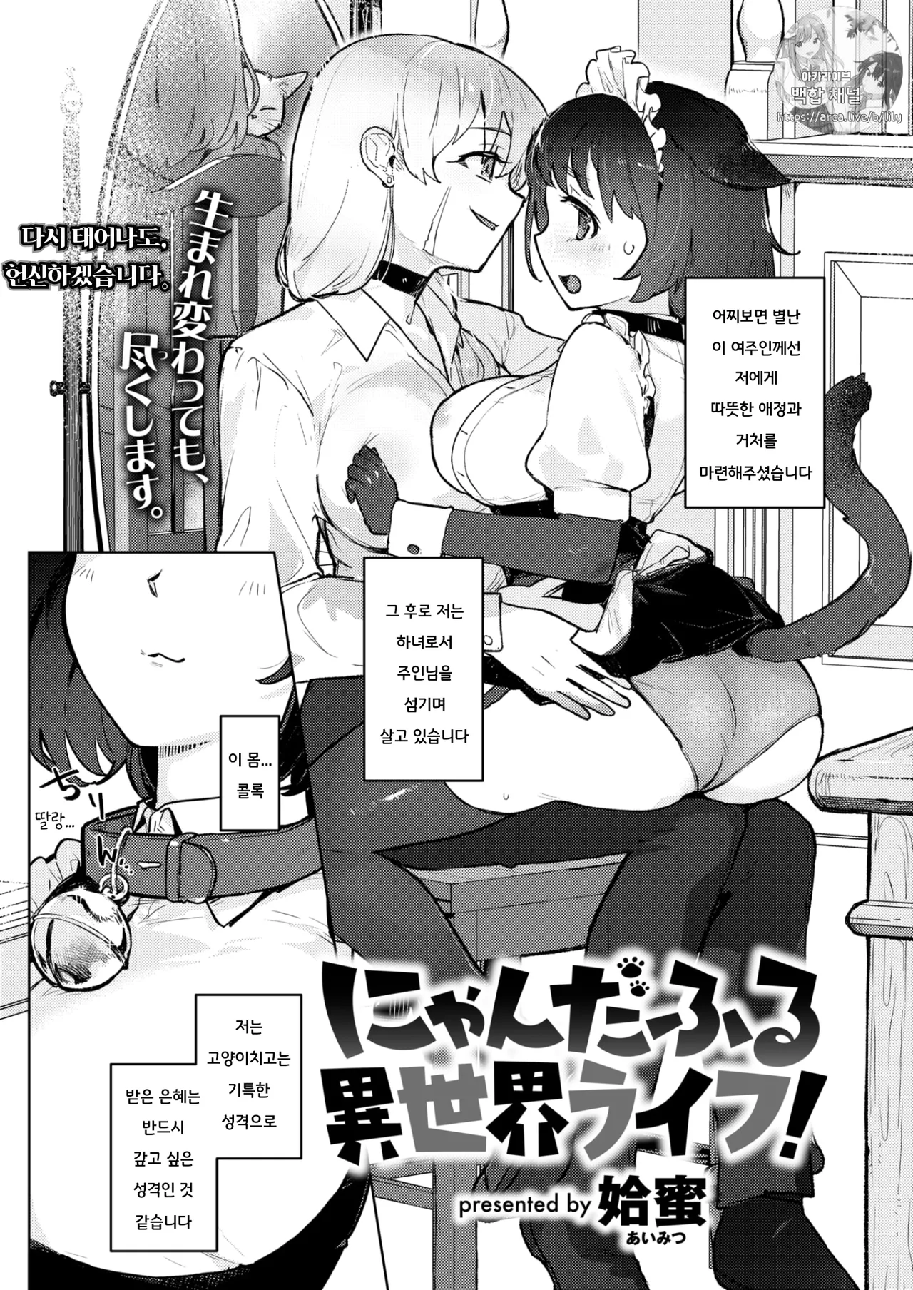 Nyanderful Isekai Life! | 냥더풀 이세계 라이프! page 2 full