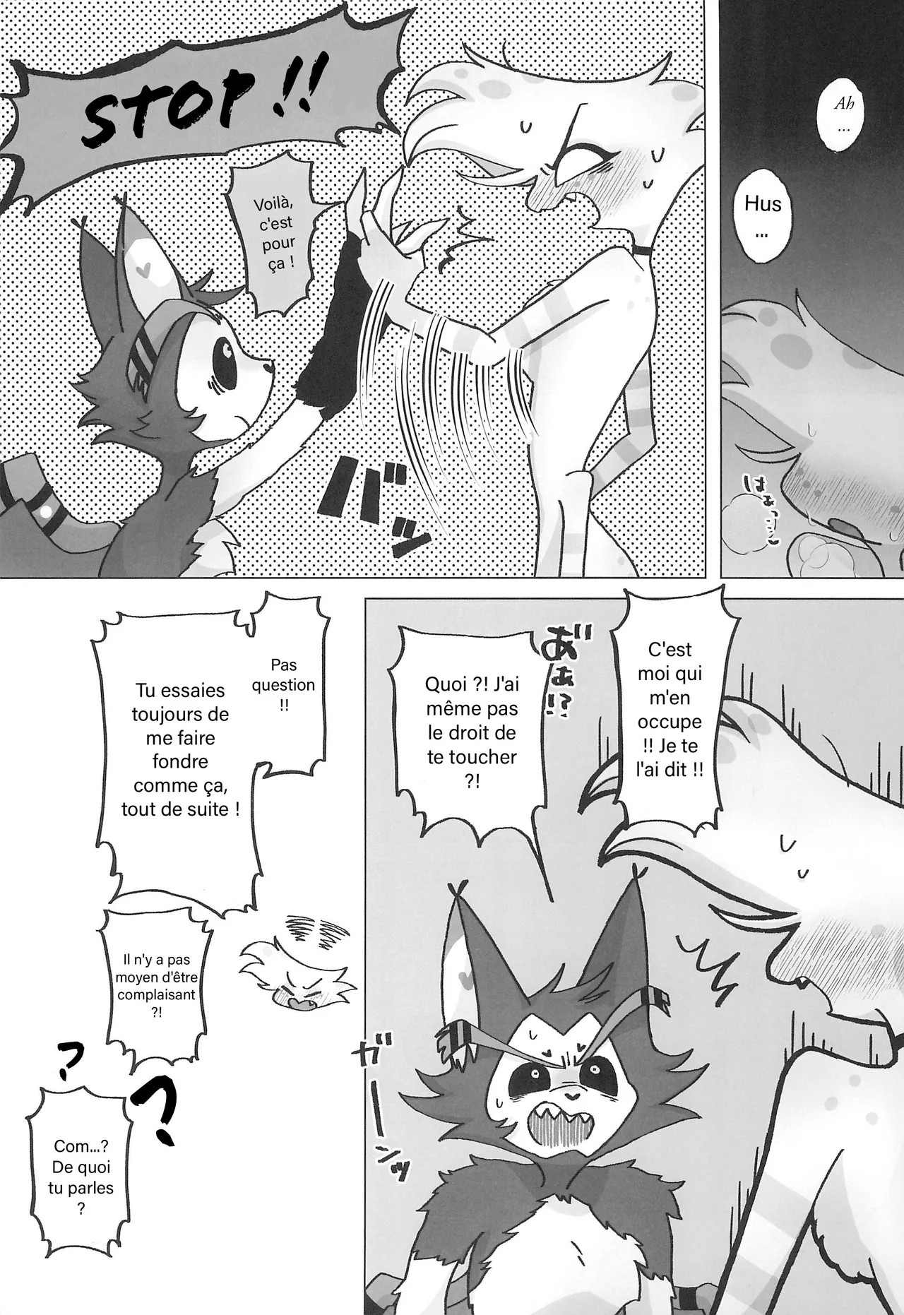 Initiative page 12 full