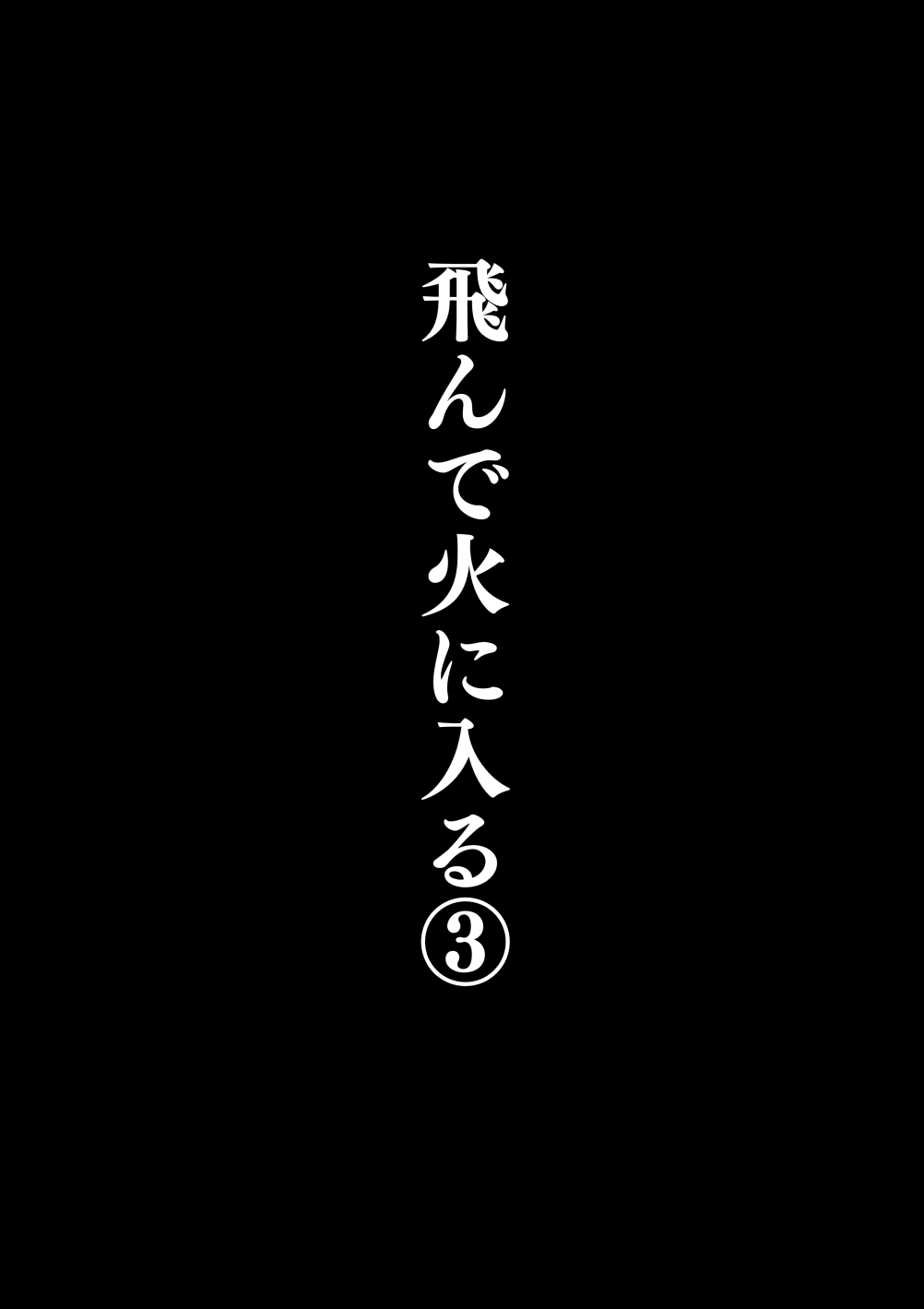 Tonde Hi ni Hairu 3 page 3 full