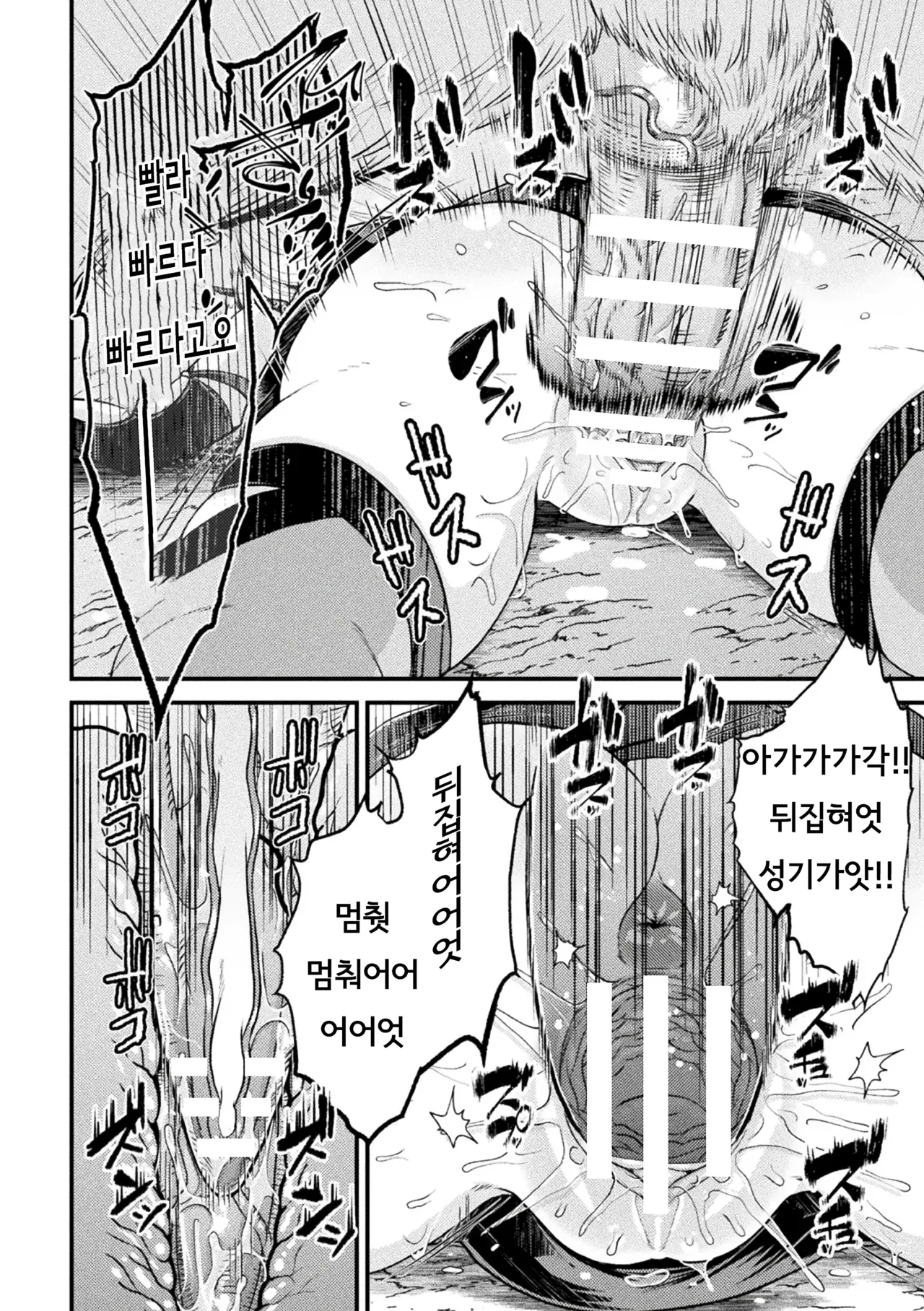 엘프 현자는 작은 마수의 소굴로 사라진다 page 12 full