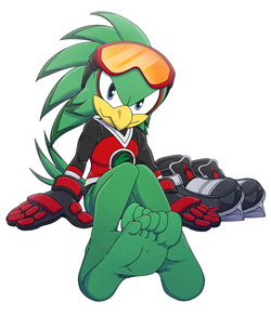 Jet the Hawk & Sonic by Footninja15
