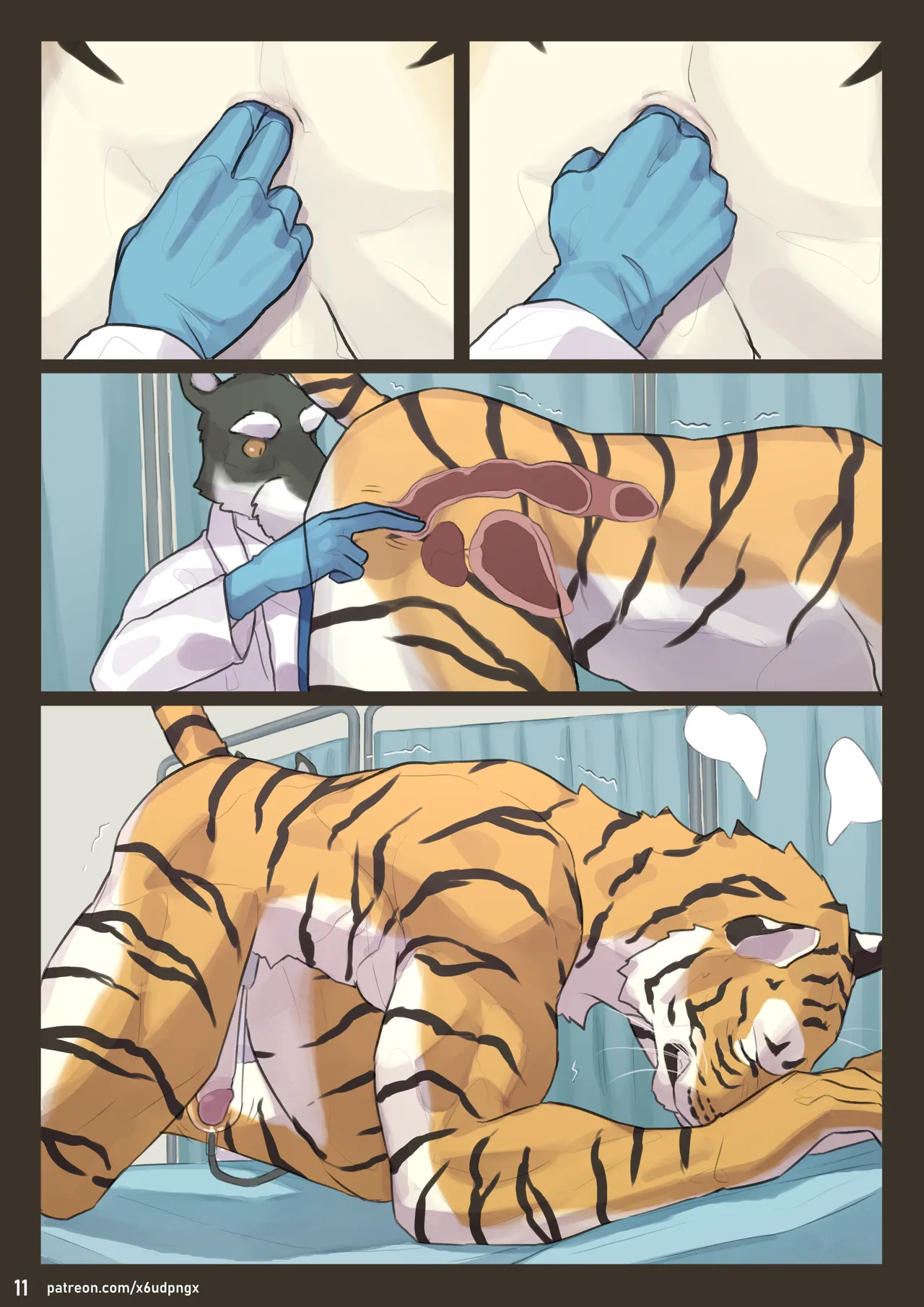 Stud page 11 full