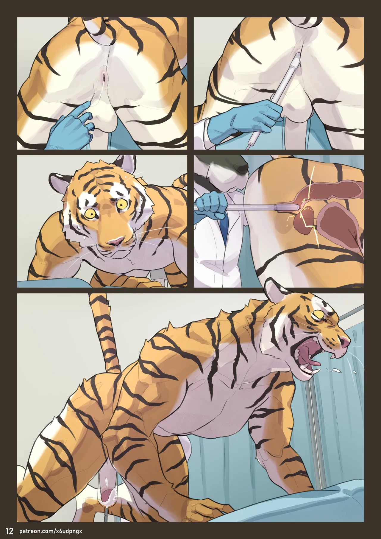 Stud page 12 full