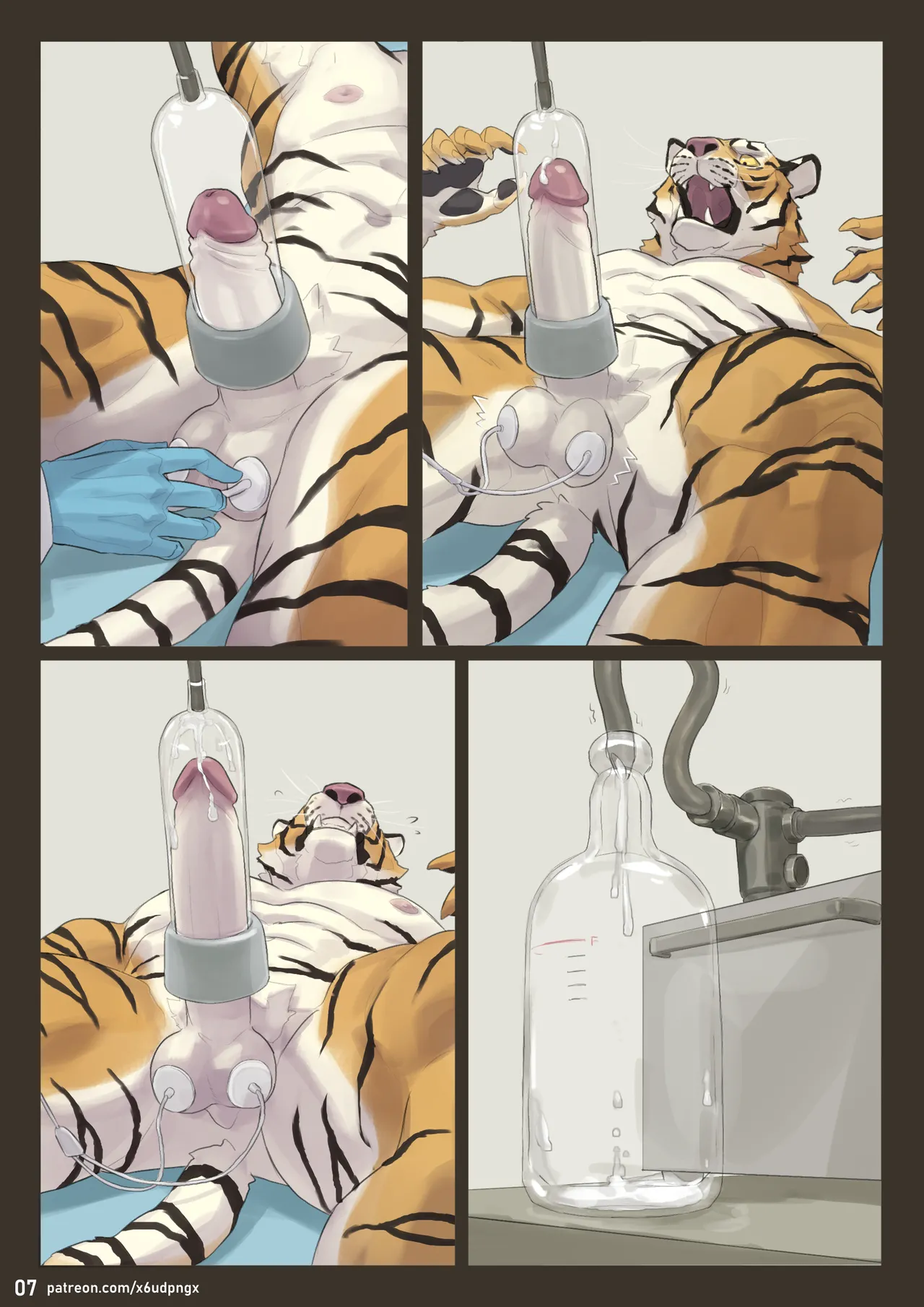 Stud page 7 full