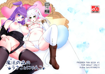 (C107) [AYAMEYA (Iori Ayaka)] Mahou no Mori no Usako to Nyanko (Sousou no Frieren) cover