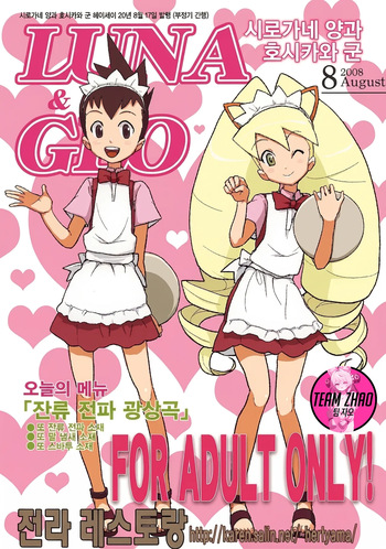 (C74) [Zenra Restaurant (Heriyama)] Shirogane-san to Hoshikawa-kun (Mega Man Star Force) [Korean] cover