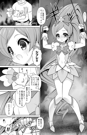 [Getsusekai] Cure Blossom Manga (Heart Catch Precure) cover