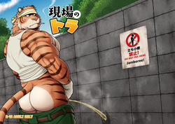 現場のトラ