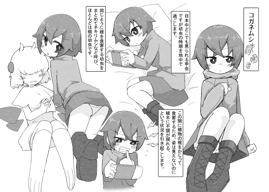 お庭の害虫駆除日報 page 11 full