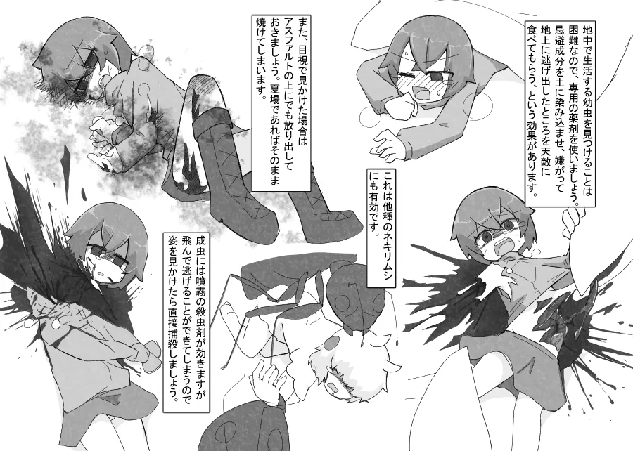 お庭の害虫駆除日報 page 12 full