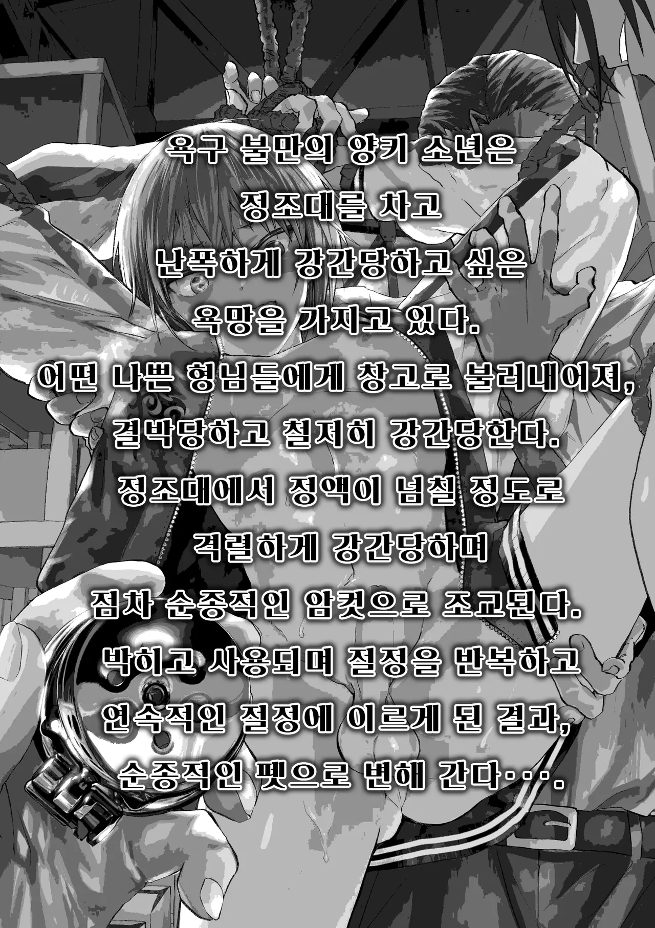 양키 속박 정조대 연속 절정 윤간 레이프 대량 사정! page 3 full