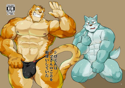 シロくんはシマさんのことを勘違いしていた