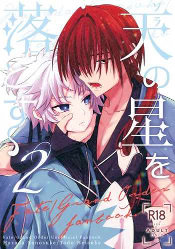 (C107) [Nouzui Anzume (Kaitou Yuuhi)] Ten no Hoshi o Otosu 2 (Fate/Grand Order) cover